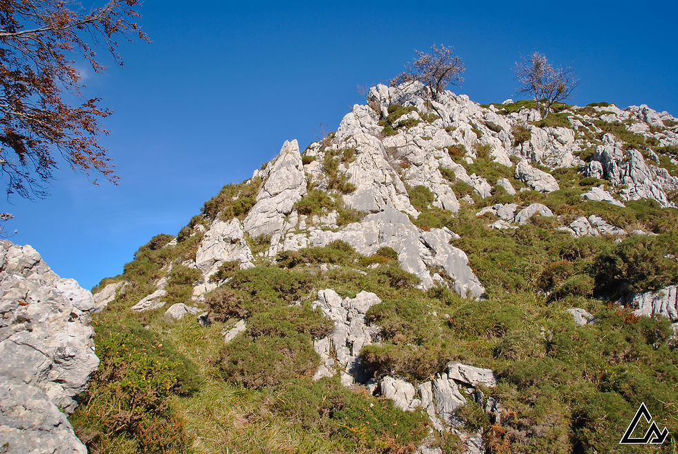 Camino de ascenso Peña la Toral