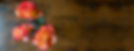 roses_topview.jpg