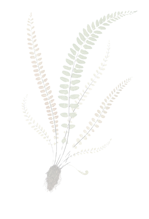 image-from-rawpixel-id-2095974-jpeg_edit