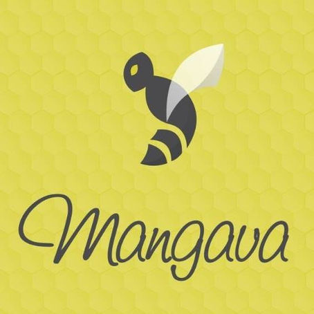 Programa de mentoria Mangava