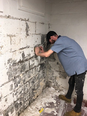 The Sycamore Foundation mold damage repair