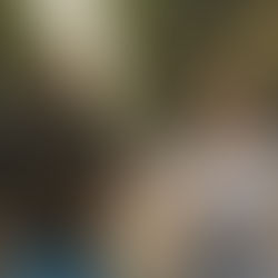 Ways to Support Your Immunity