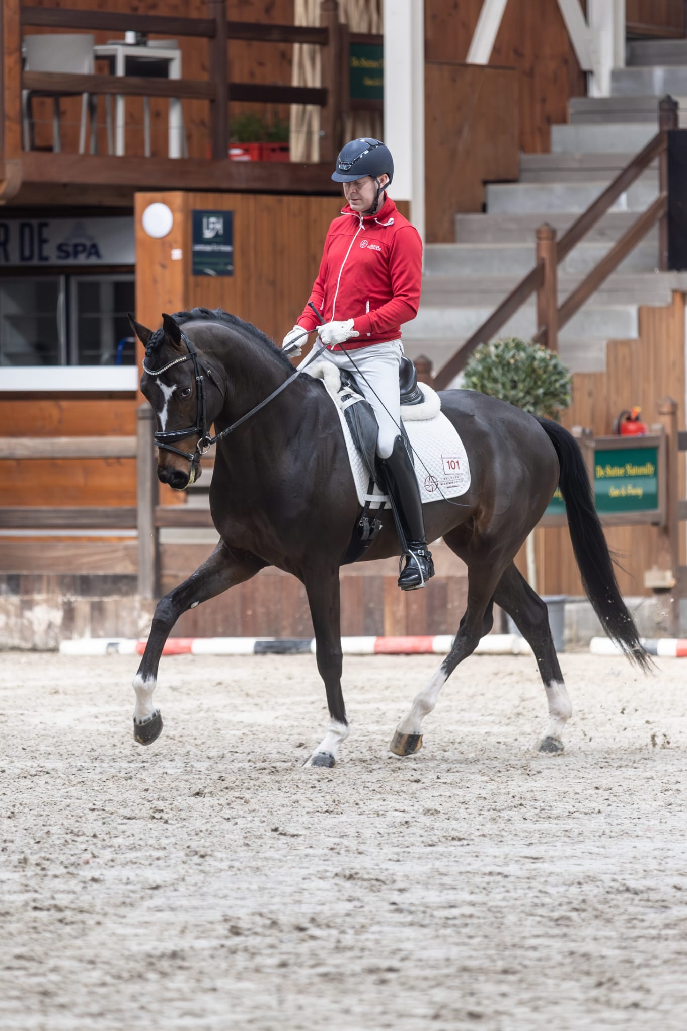 Valente named first reserve for Belgian young horse selection