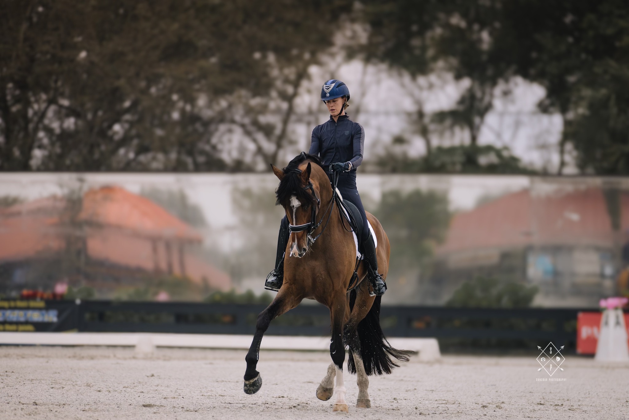 McKenzy JHL son Saint G presented for KWPN saddle assessment