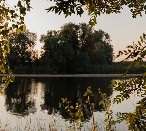 filters_format(webp)_quality(90) (1).webp