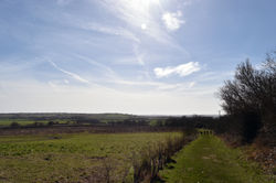 DWK_0146