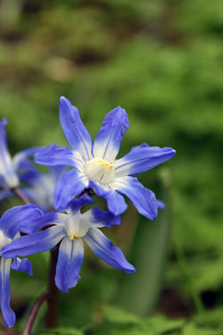 DWK_0274