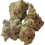 Thumbnail: Devil Driver (Sativa Dominant Hybrid)
