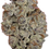 Thumbnail: Devil Driver (Sativa Dominant Hybrid)
