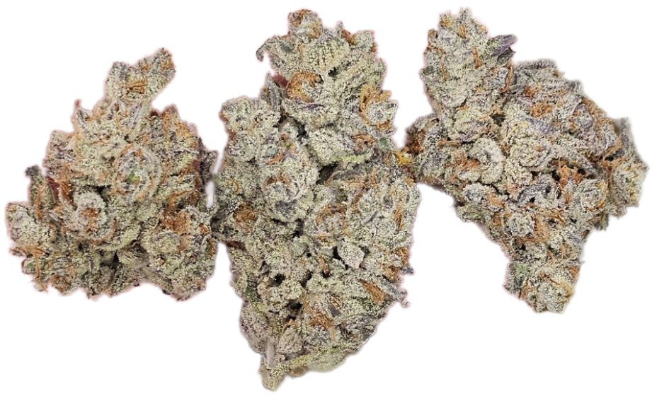 Devil Driver (Sativa Dominant Hybrid)