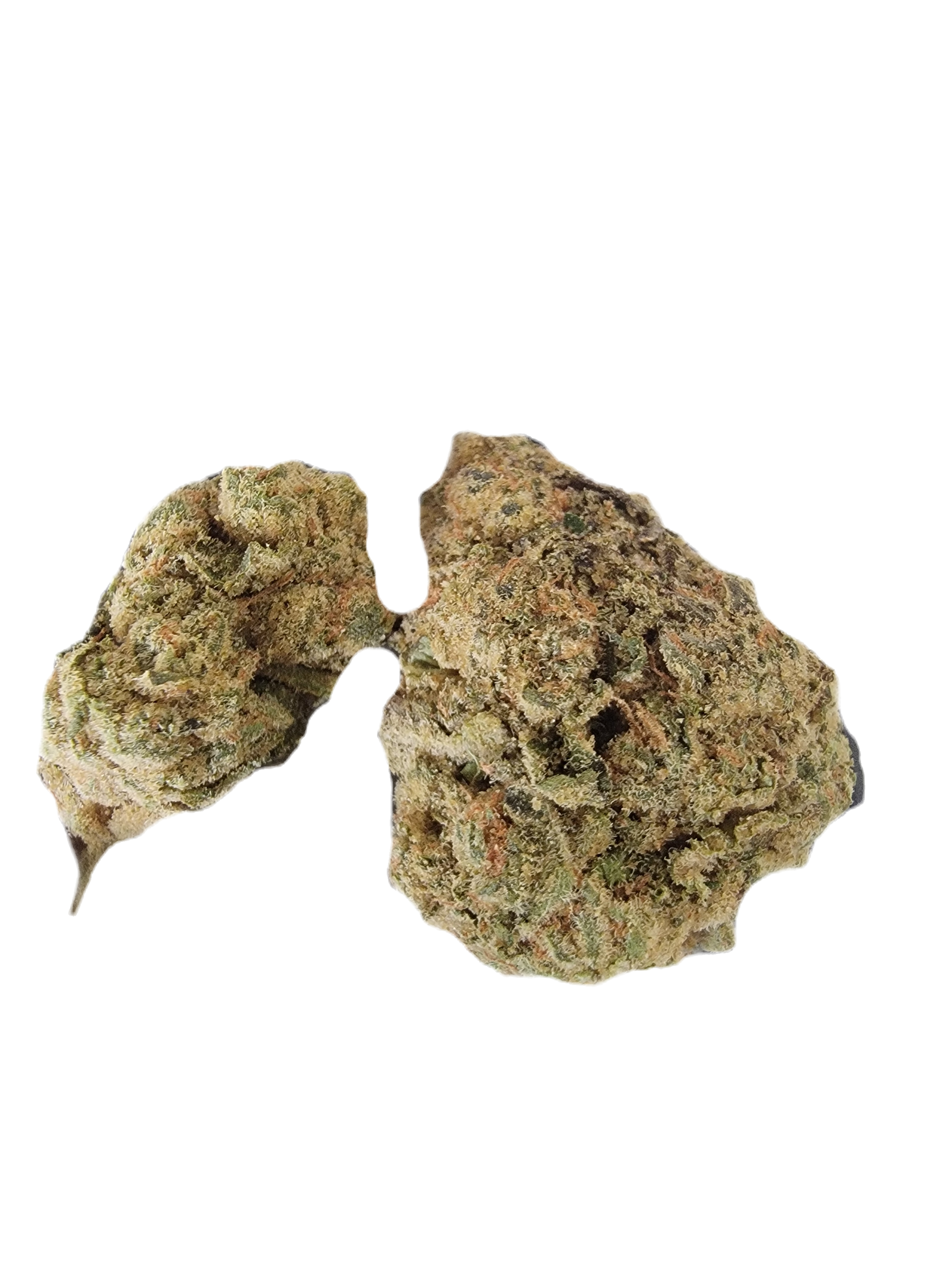 Gorilla Glue 4 (Indica Dominant Hybrid)