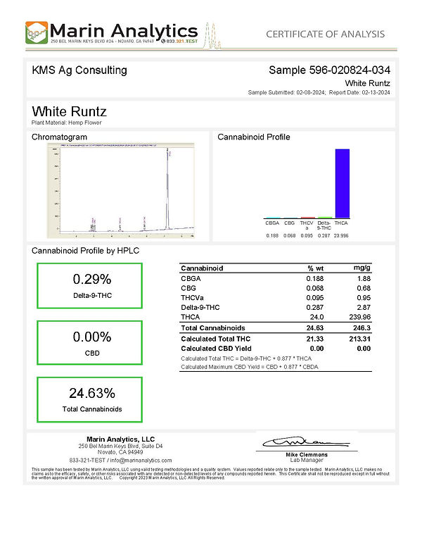 White Runtz Results.jpg