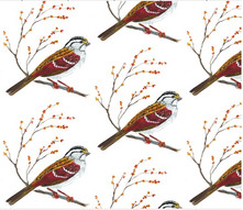 Sparrow & Bittersweet repeating surface design pattern spoonflower acrylic paint