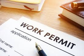 Minister for Justice, Home Affairs and Migration statement on progress towards the introduction of a single permit system for visas and work permits 
