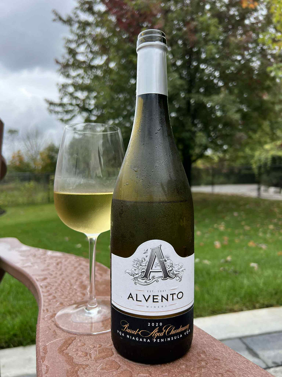 Elegance in a Glass: 2020 Alvento Barrel Aged Chardonnay