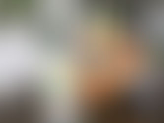 The Rise of Orange Wine: What You Need to Know