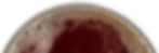 inner_horizontal_footer_clear_01.jpg