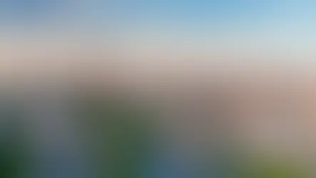 法国是移民国家吗?移民政策真的少吗?解读法国人才护照和移民机会