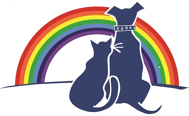 Wilton Manors Animal Hospital gallery