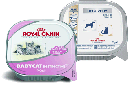 Royal Canin Babycat Canine Wet Food Trays