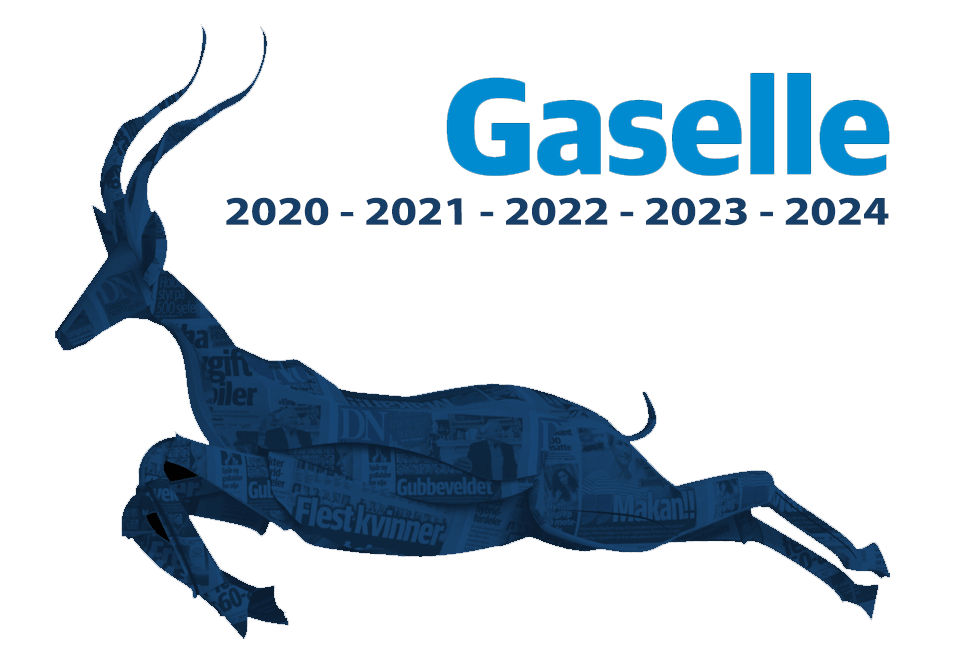 Gaselle.2020-2024-web.gif
