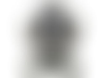 Audi RS6 & RS7 Brake and Exhaust Upgrade Guide – Unlocking the Full Potential of the C8 Platform