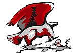 The eagle logo of Franklin County School