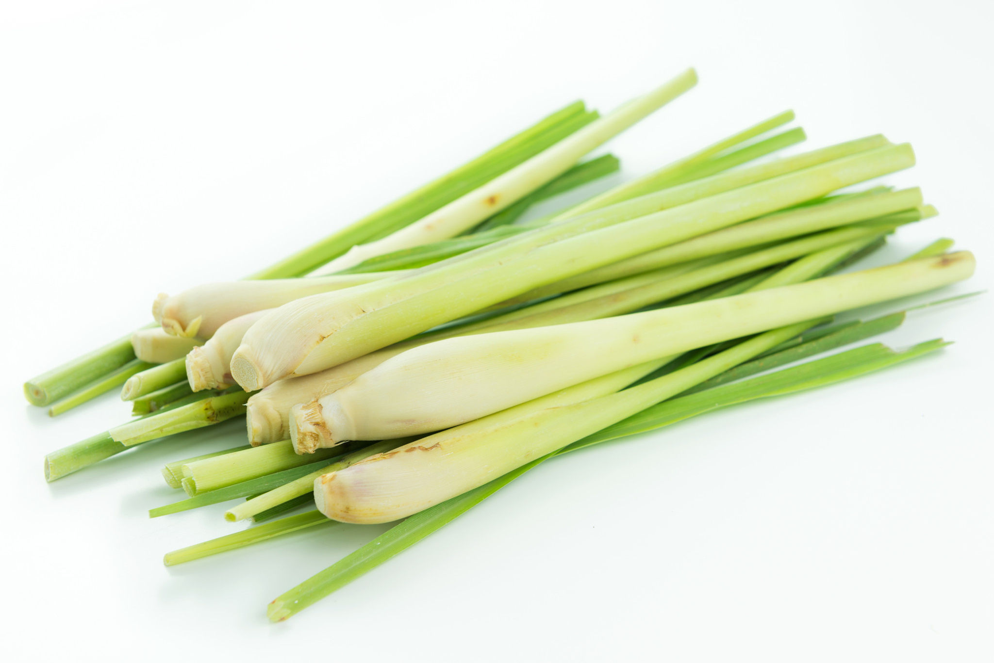 Lemongrass Extract