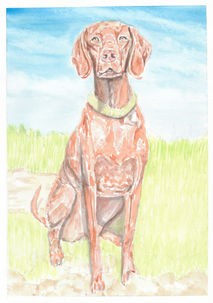 Dog Portrait