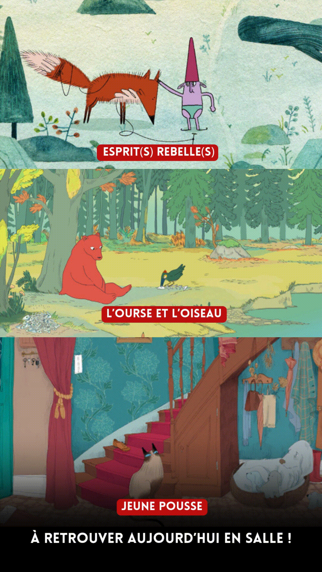 Story à destination des réseaux sociaux de CinéAnimation. Réalisée pour la rubrique "Ca sort"!