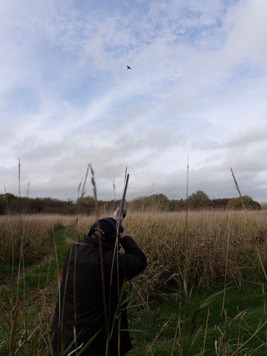Wiltshire game shoot