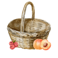 Wicker basket watercolour