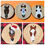 Thumbnail: Wood Round Ornaments