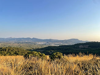 WhatsApp Image 2026-03-30 at 23.23.23 (3).jpeg