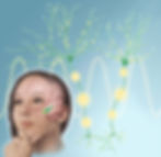 How the Brain Remembers Time and Place