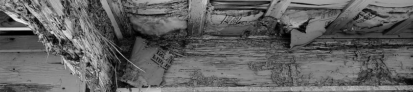 20190428_125832%2520(2)_edited_edited_edited.jpg