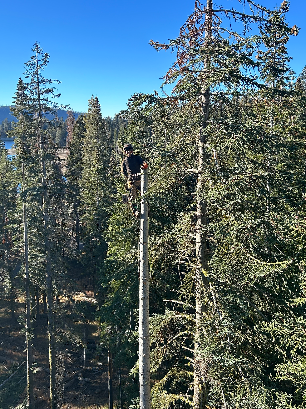 hi res anthony climbing.HEIC