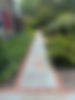 IMG_4965.jpeg