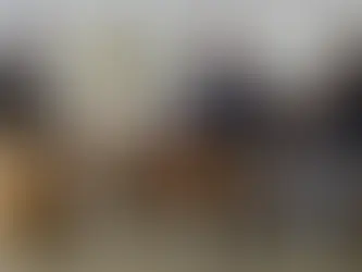 Meet the World’s Youngest Self-Made Billionaires: A Trio of 22-Year-Old AI Founders! By: Stock Market Charlie