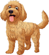 Goldendoodle dog