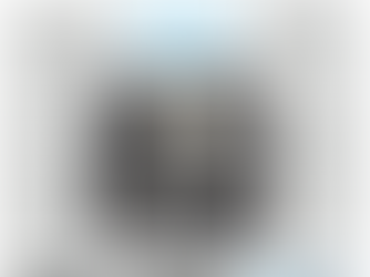 תיאטרון האבסורד של הריאליטי 