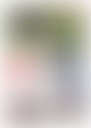 Shepparton Adviser Does ANSSE...