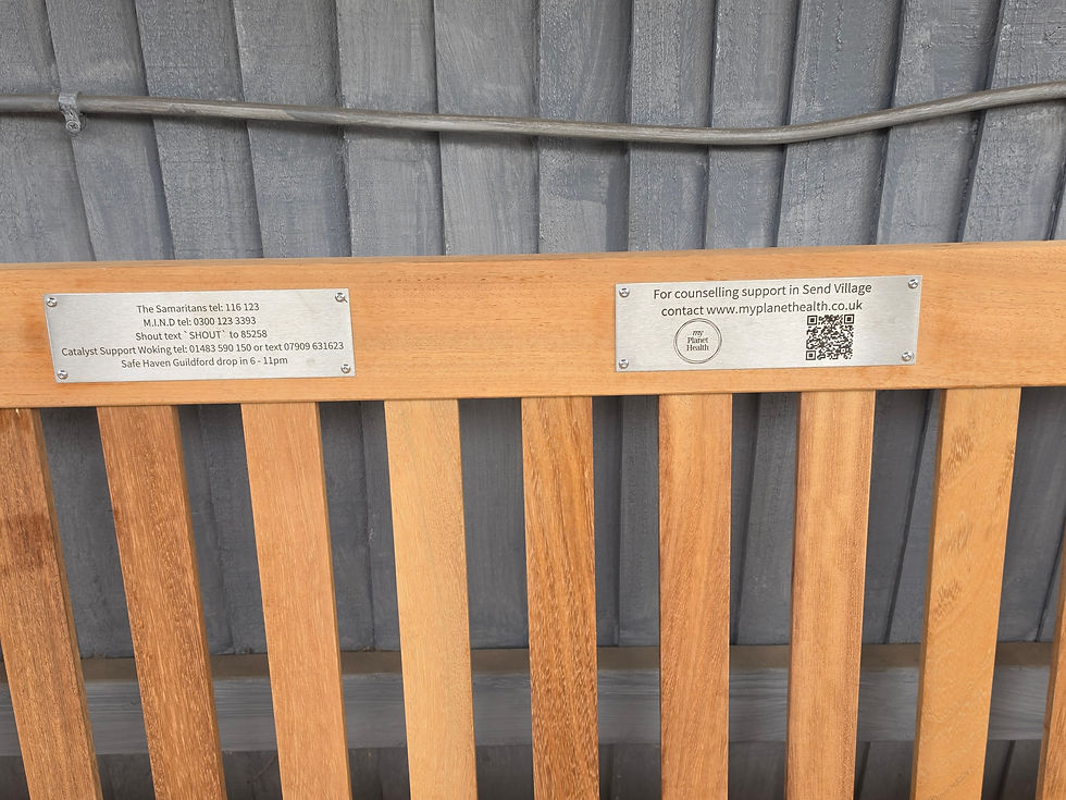 Close up of the bench showing the two plaques on the bench referring users to helplines and qr codes to My Planet Health website for support