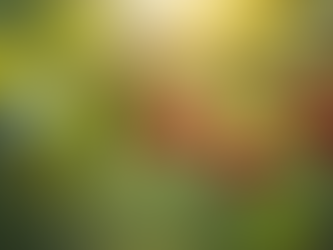 Unveiling the Rich History and Magical Benefits of Chaste Tree Berry