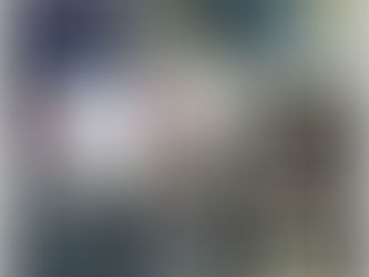 We would like to extend our deepest sympathies to the Frankoski & Grassia Family along with the New York State Police and Best Luther Fire Department.