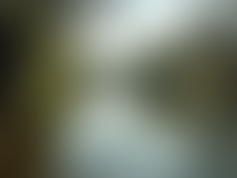 Texas Flooding Crisis: Lives Lost and Communities Shattered