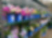 IMG_7375.jpeg