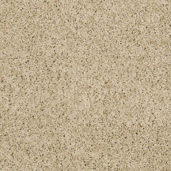Image of a carpet sample