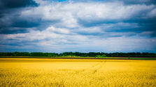 U.S. Immigration Options for Ukrainians Impacted by the Russian Invasion of Ukraine