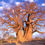 Thumbnail: African Baobab  5 Seeds  Adansonia digitata